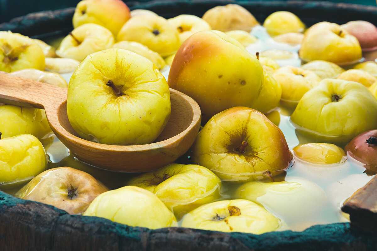 Квашеная капуста на зиму – очень вкусные рецепты