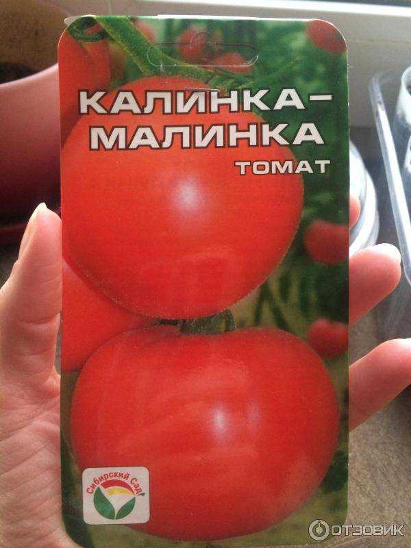 Томат "калинка-малинка": описание сорта, фото, выращивание вкусных помидоров русский фермер