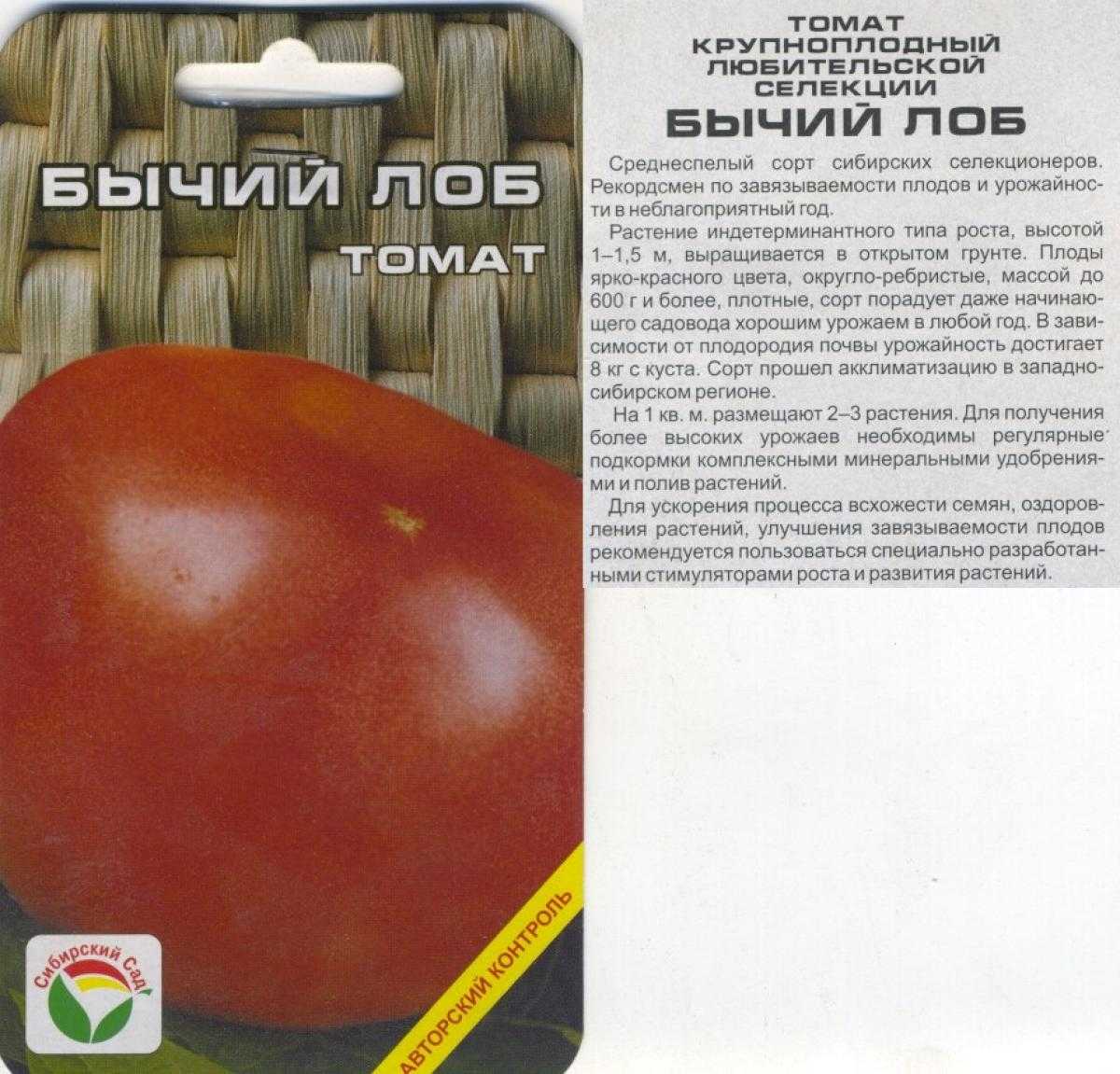 Сорт томата бычий лоб