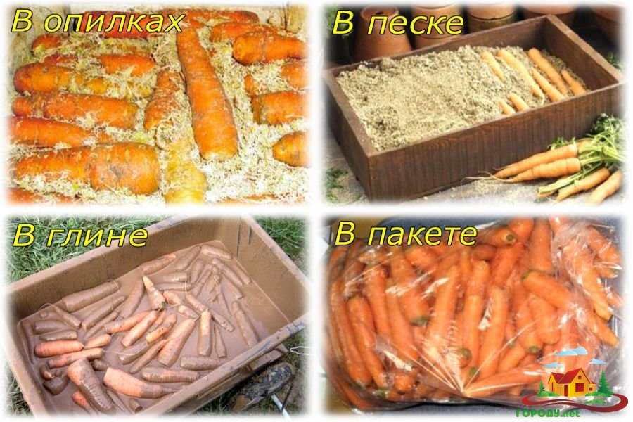 Как лучше хранить морковь. Хранение моркови в опилках. Хранение моркови в песке. Хранение моркови зимой. Хранение моркови в песке в погребе.