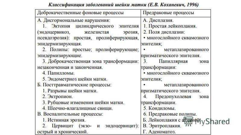 Бесподобный салатный сорт с долгим плодоношением — томат малиновый урожай: отзывы и описание