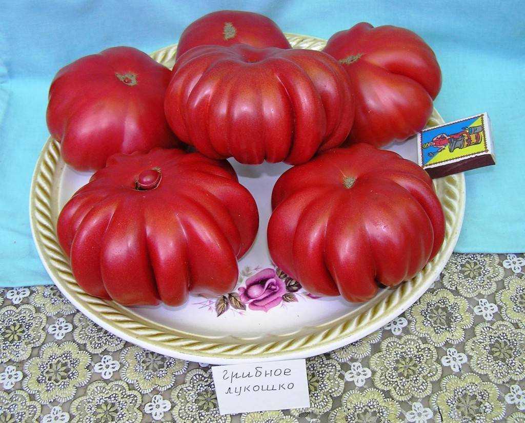 Самые урожайные сорта томатов для теплицы: ранние, лучшие, супер урожайные для подмосковья, сибири, урала