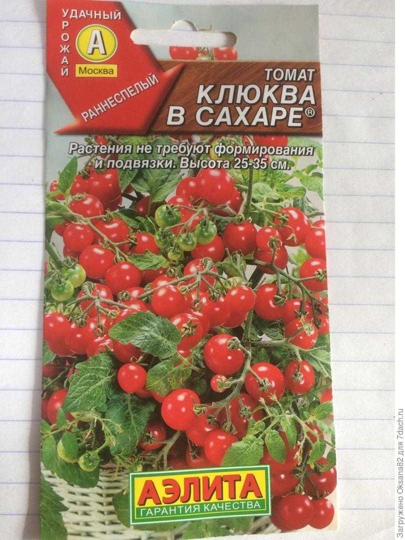 Томат «клюква в сахаре»: отзывы, фото, урожайность, описание сорта