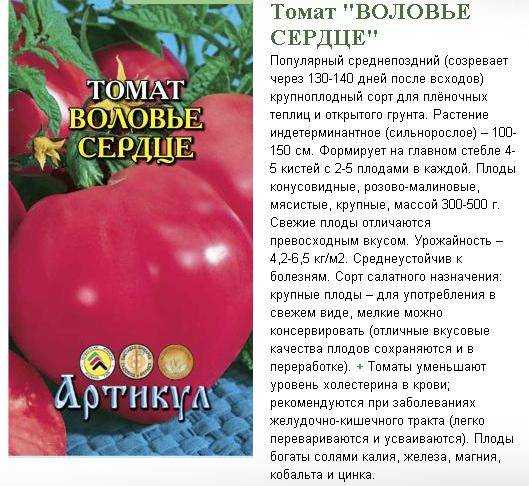 Томаты воловье сердце: описание, выращивание, уход, фото