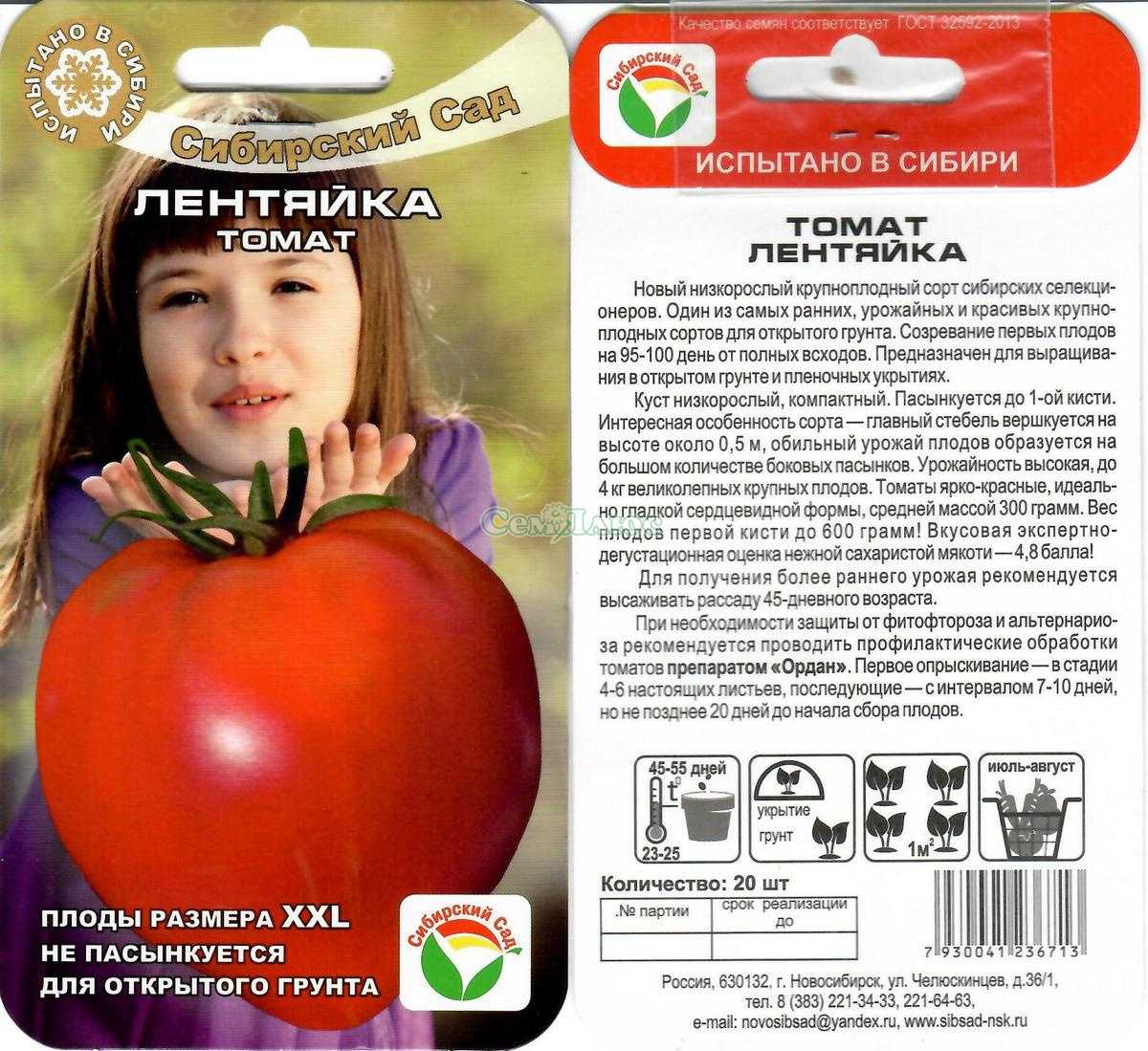 Описание сорта томатов Лентяйка, форма и вес помидоров, фото Где и в каком году был выведен сорт Урожайность, особенности выращивания, плюсы и минусы этого сорта