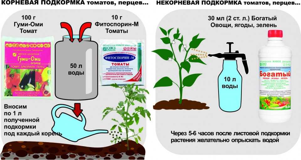 Схема полива огурцов в теплице