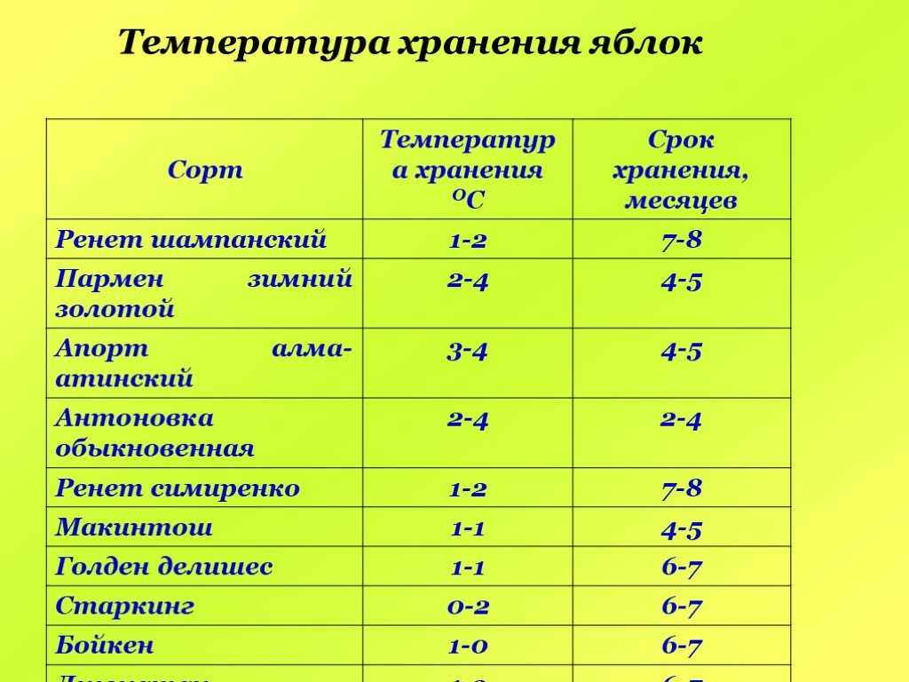 Оптимальная температура хранения картофеля