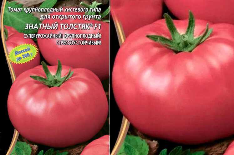 Томат "розовый слон": описание и фото сорта, методы его выращивания