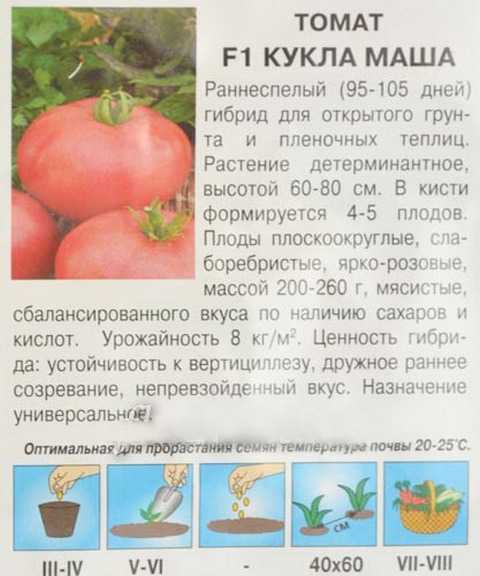 Томат кукла: отзывы, описание сорта и характеристика, фото, урожайность