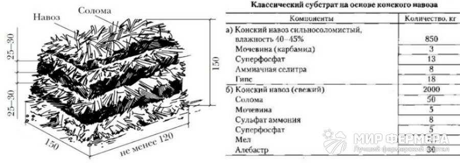 Выращивание грибов (вешенок и шампиньонов)