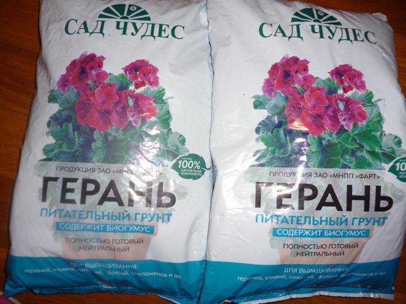 Из под каких деревьев брать землю для комнатных растений