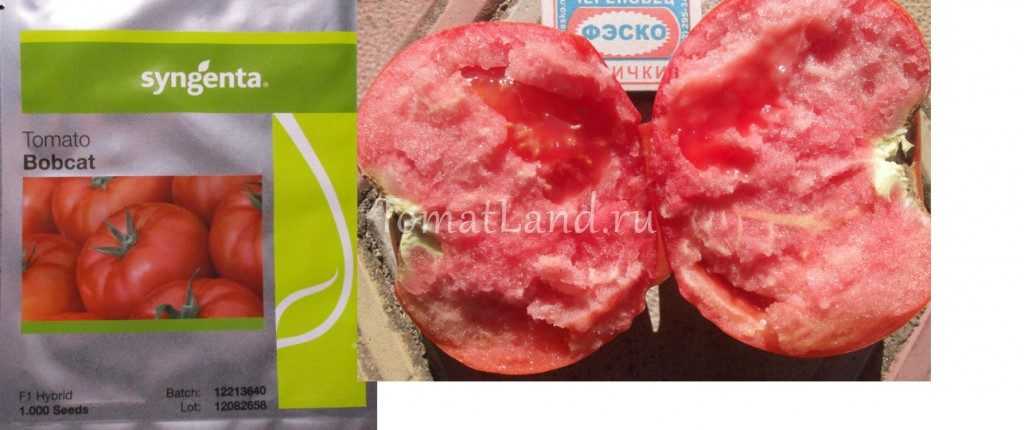 Урожайность — да, болезни — нет! за что голландский томат «бобкат» полюбили российские садоводы?