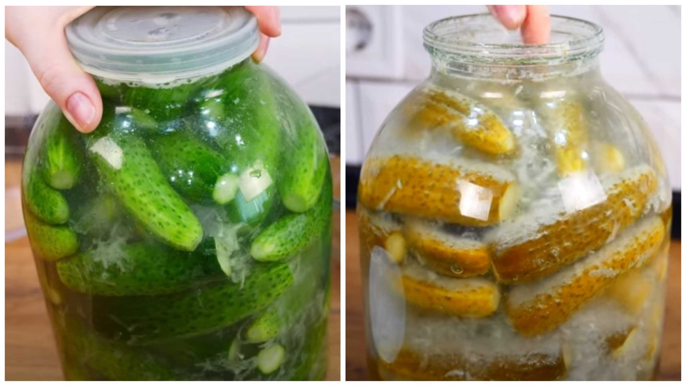 Консервирование огурцов на зиму. очень вкусные рецепты в литровых банках