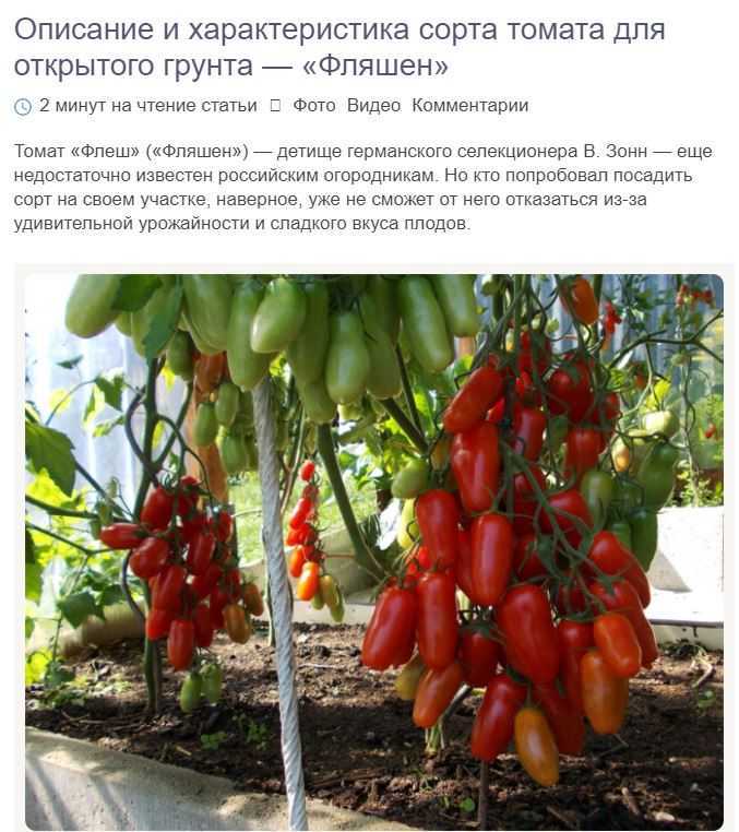 Томат демидов
