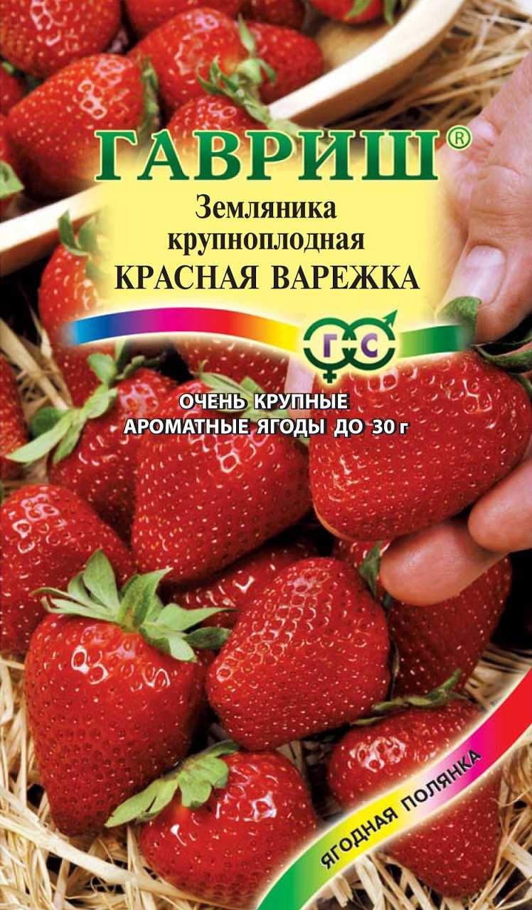 Топ-30 лучших сортов клубники для средней полосы россии