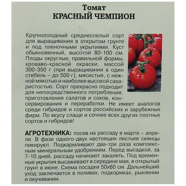 Титан помидор фото и описание
