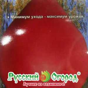 Томат обские купола: характеристика и описание сорта, урожайность, фото, отзывы