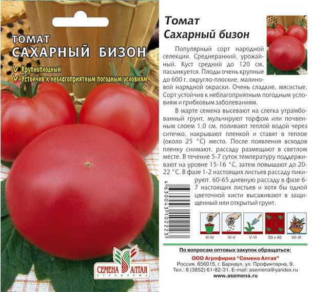 15 лучших ранних сортов помидоров для открытого грунта