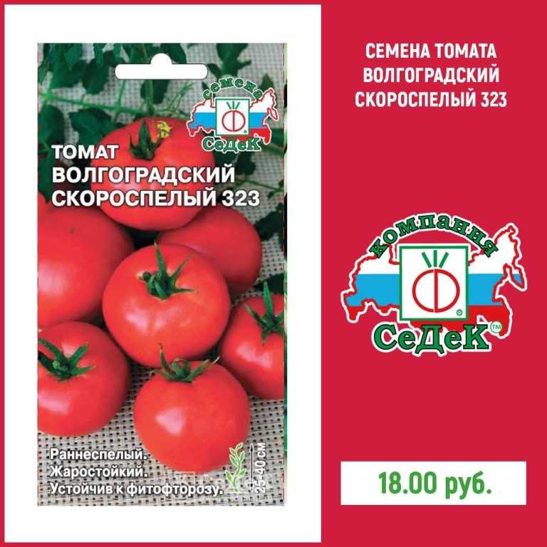 Томат "загадка": описание, характеристика, особенности выращивания, секреты посадки, отзывы, фото