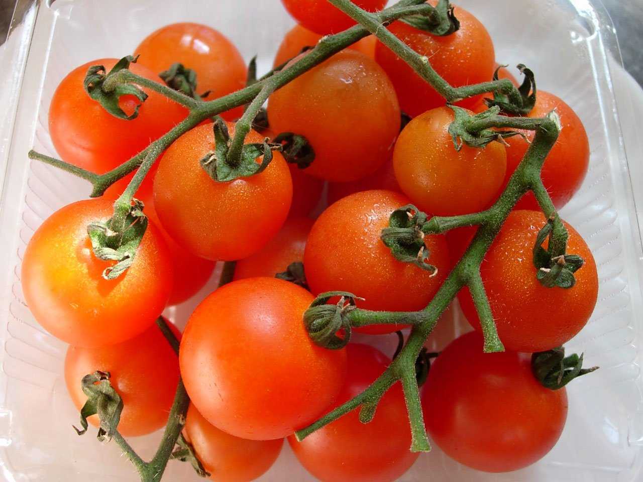 Гибриды томатов для открытого грунта. Помидоры кистевые сорта для теплиц. Кистевые сорта томатов. Лучшие кистевые томаты для теплиц. Кистевые желтые томаты сорта.