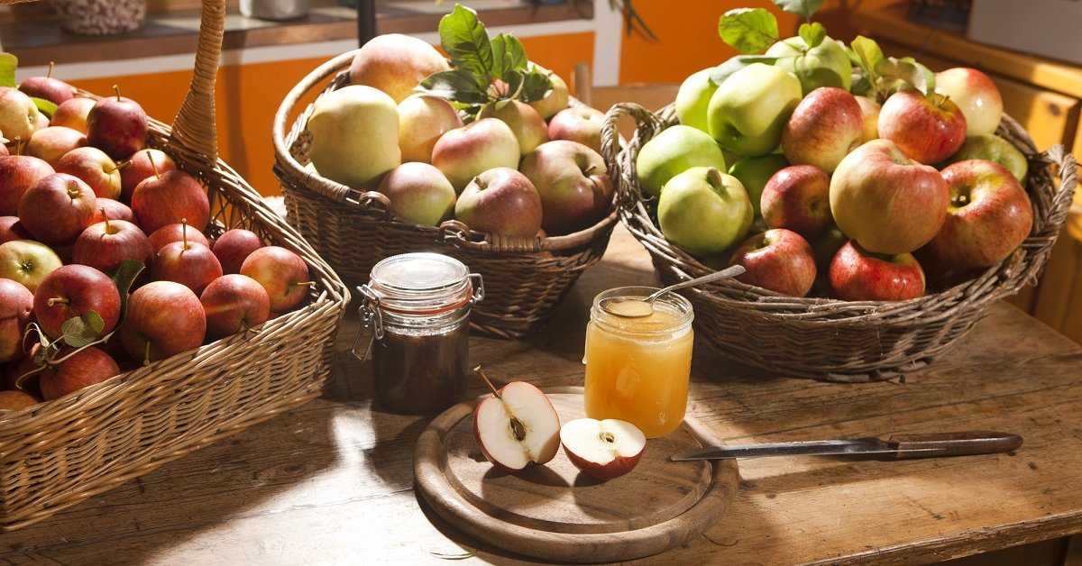 Моченые яблоки на зиму в домашних условиях: простые и вкусные рецепты