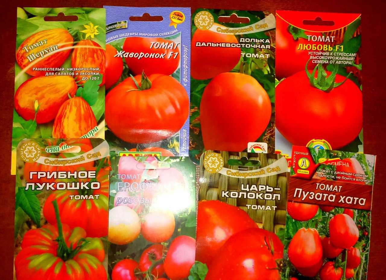 Сорт помидор богата хата. Томат богата хата f1. Семена томат Пузата хата. Сорт помидор Пузата хата.