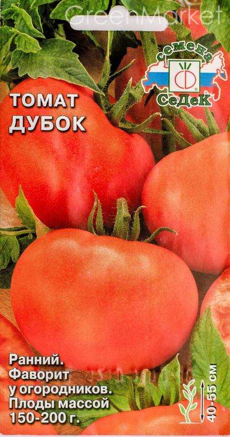 Помидоры с отличной урожайностью — томат дубок: характеристика и описание сорта