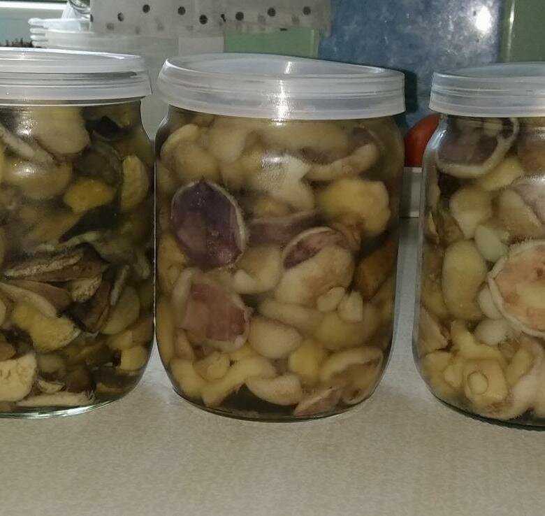 Маслята маринованные на зиму: рецепты приготовления с фото