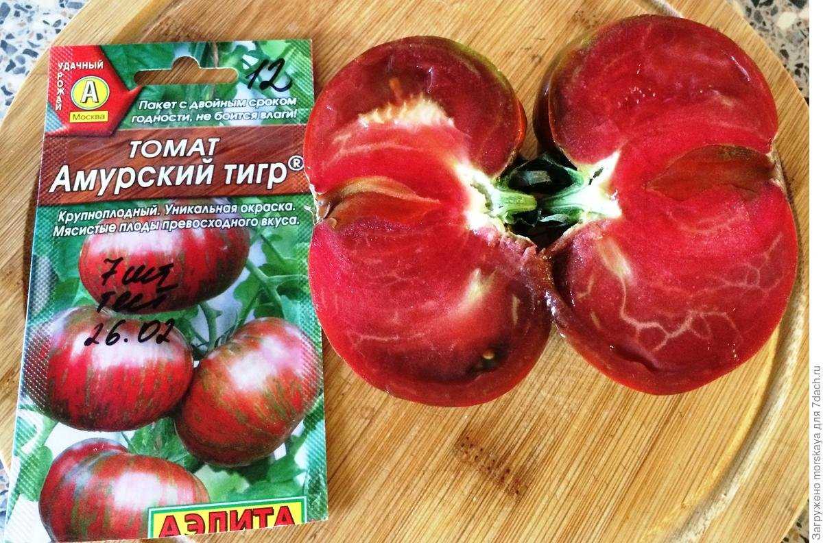 Характеристика сорта помидоров чёрный принц и как его вырастить