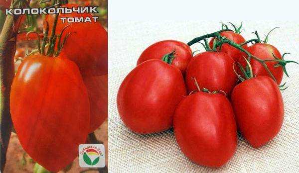 Томат малинка — характеристика и описание сорта