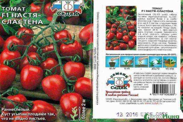 Самые урожайные сорта помидоров для открытого грунта