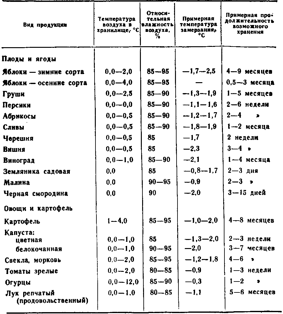 Как правильно хранить картофель?