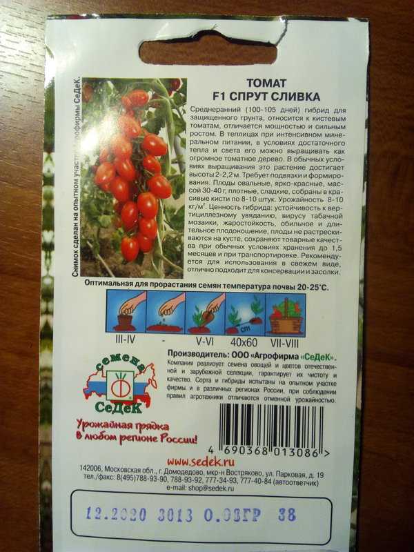 Помидоры "спрут": отзывы, фото, кто сажал, характеристика и описание сорта