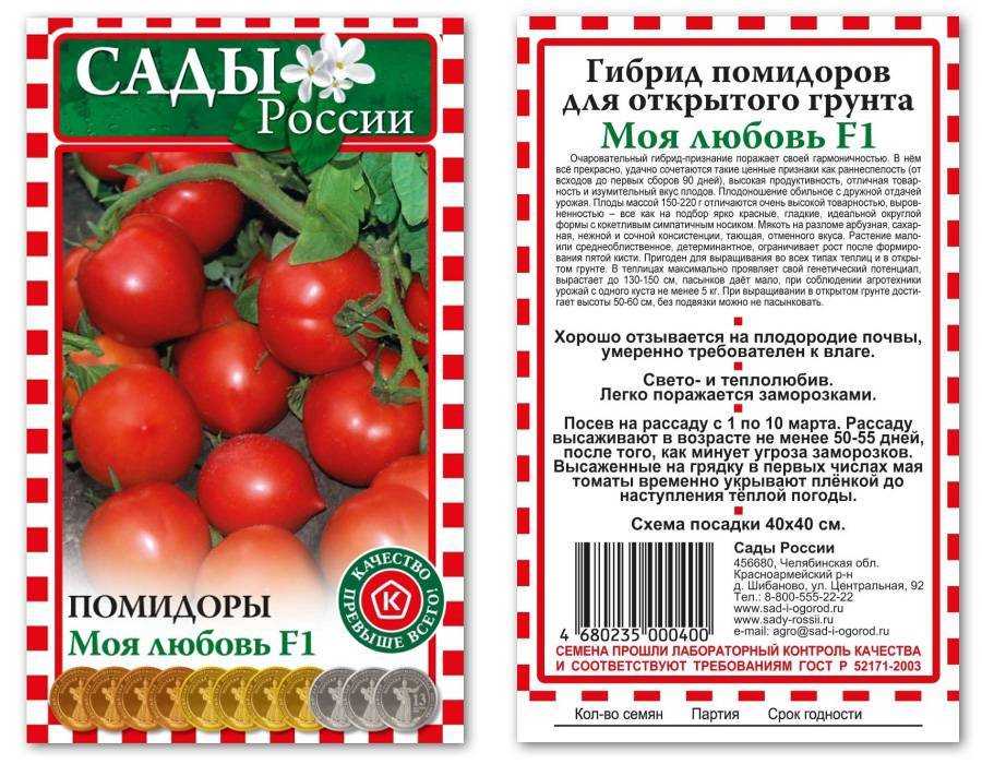 Томат дружок: характеристика и описание гибридного сорта с фото