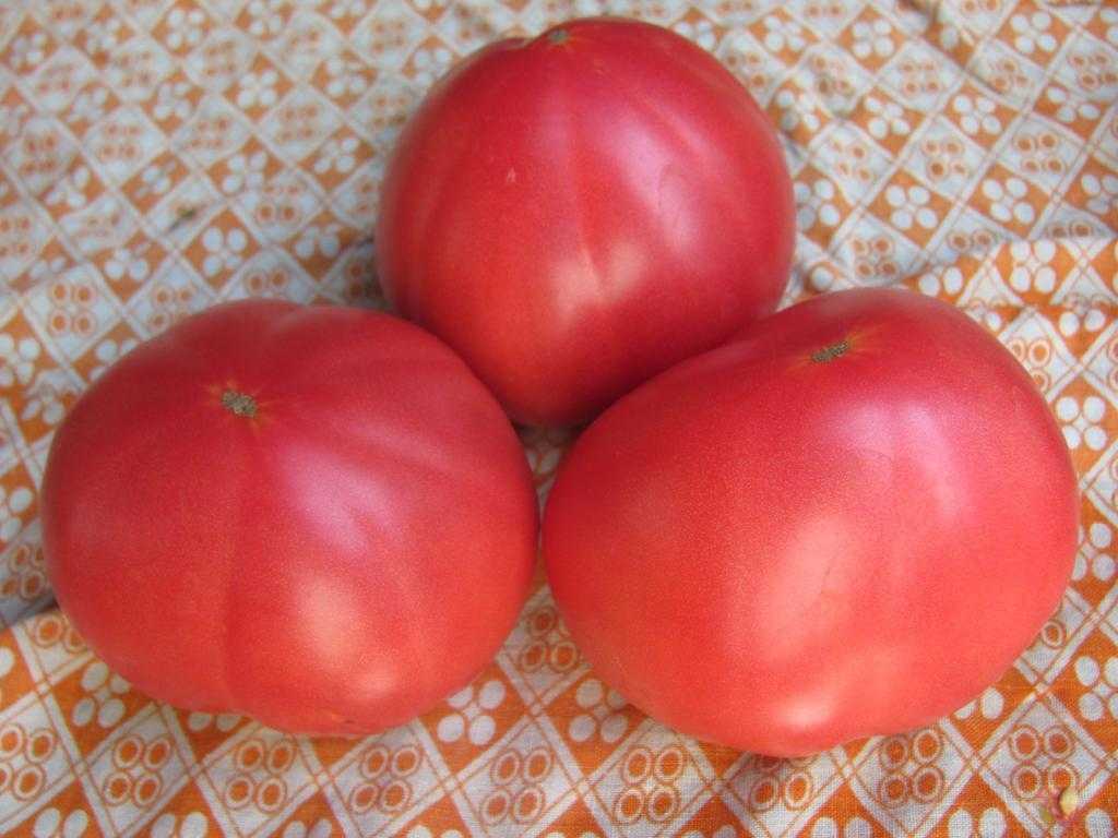 Томат бабушкин секрет: описание сорта, отзывы, фото
