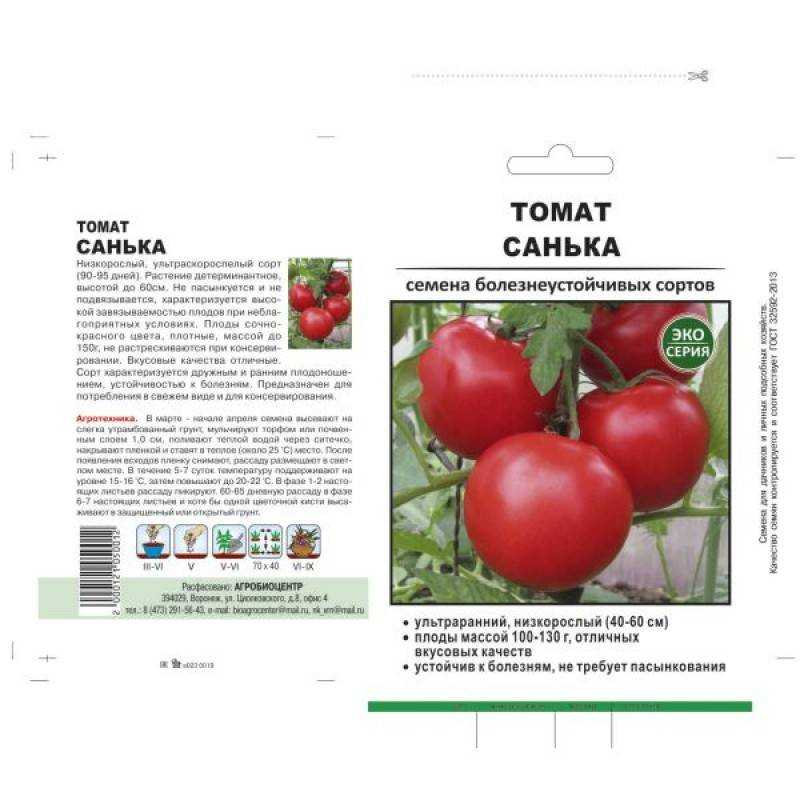Характеристики сорта томата санька. Томат Санька Сибирский сад. Семена томат Санька. Семена помидор Санечка. Томат Санька в теплице.