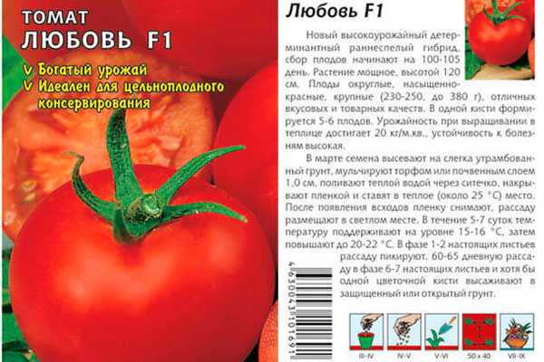 Лучшие сорта или виды помидоров на любой вкус и цвет