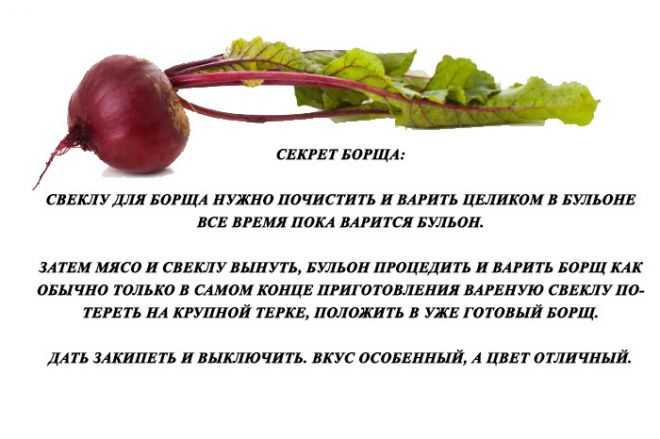 Можно ли есть свеклу кормящей маме