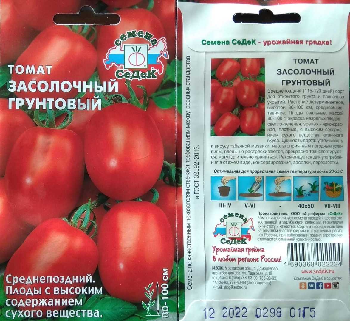 Сорт помидор Засолочное чудо