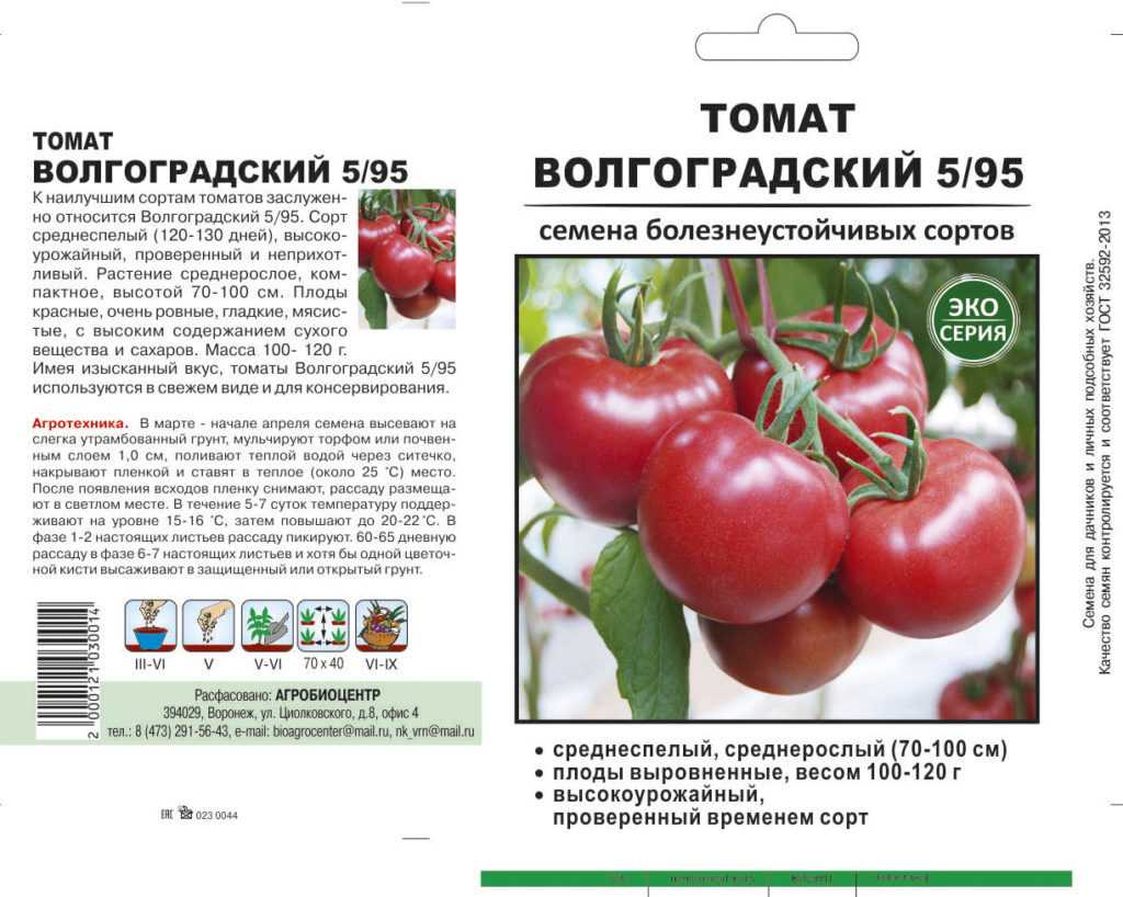 Сорта томатов и как их выбрать