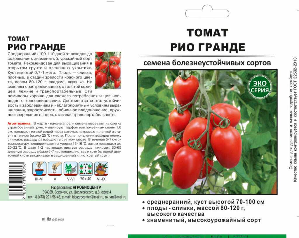 Томат президент: описание сорта, фото, отзывы, характеристика плодов, урожайность