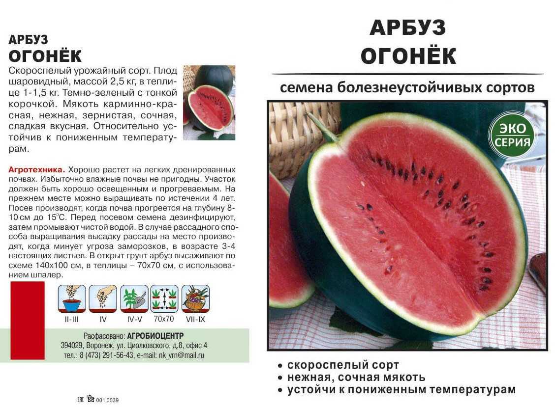 Арбуз "огонек": описание сорта, выращивание, отзывы