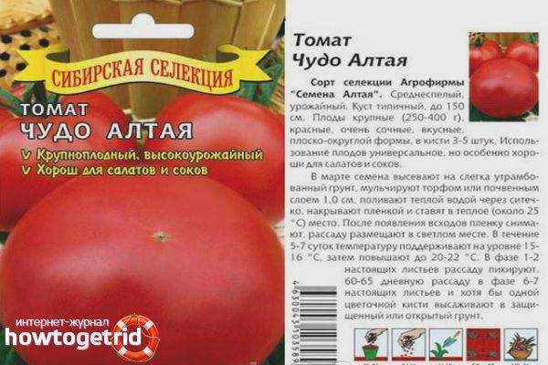 Томат «чудо рынка» характеристика и описание сорта, уход и урожайность, отзывы с фото тех кто сажал
