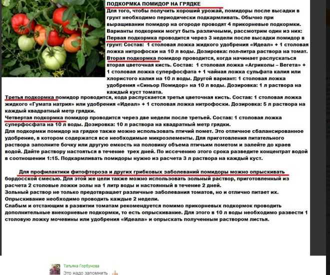 Идеальный томат «изюминка»: описание сорта, характеристики, выращивание и урожайность