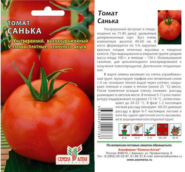 Томат санька: отзывы (фото), урожайность, характеристика и отзывы