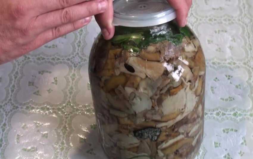 Грузди, соленые горячим способом на зиму в банках — лучшие рецепты быстрого приготовления грибов