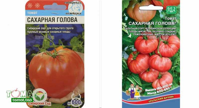 Помидоры пудовик (севрюга): описание сорта, фото, отзывы