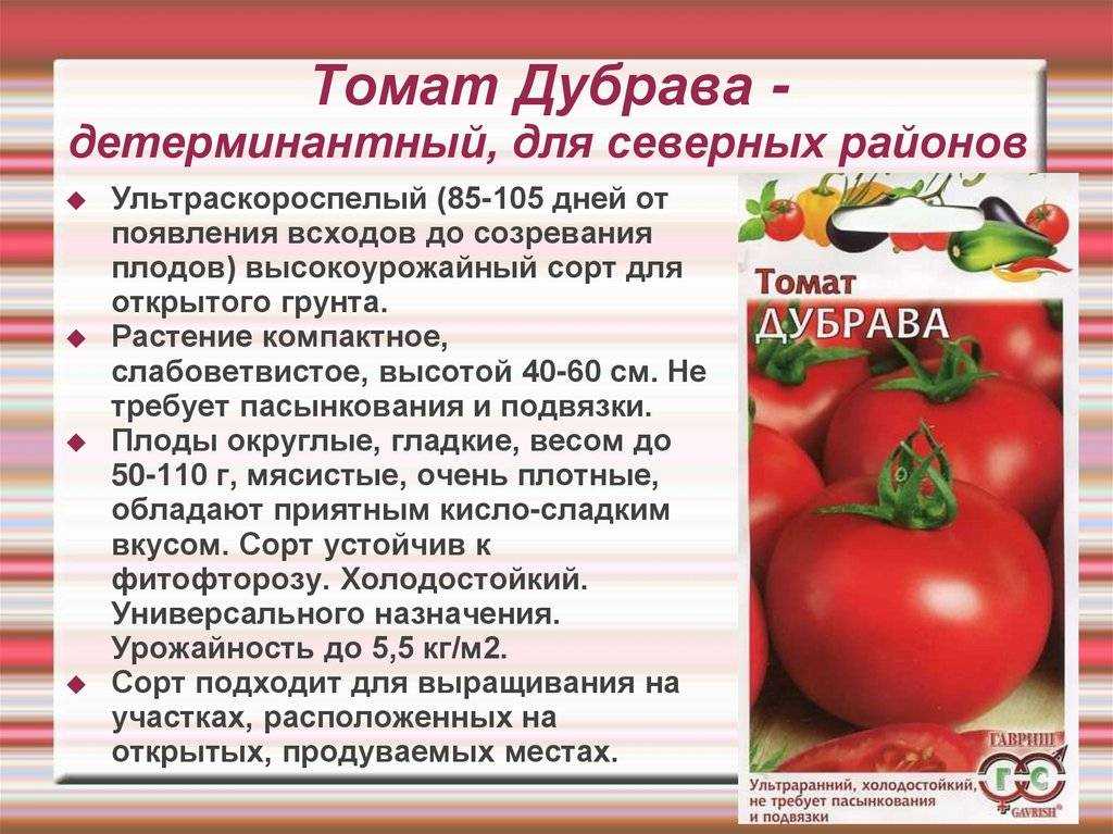 Выращивание томатов – в открытом грунте, от а до я, как правильно ухаживать, советы агронома, видео