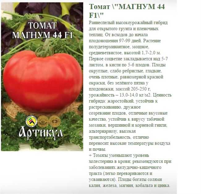 Обзор самых лучших сортов грунтовых томатов: ранние, сладкие, урожайные