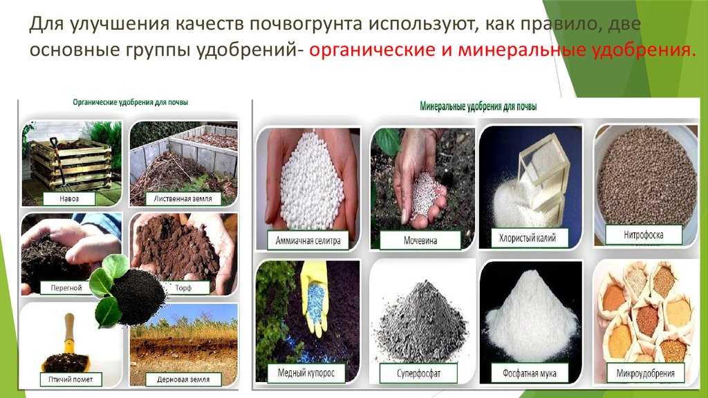 Минеральные удобрения: польза и вред - союз органического земледелия